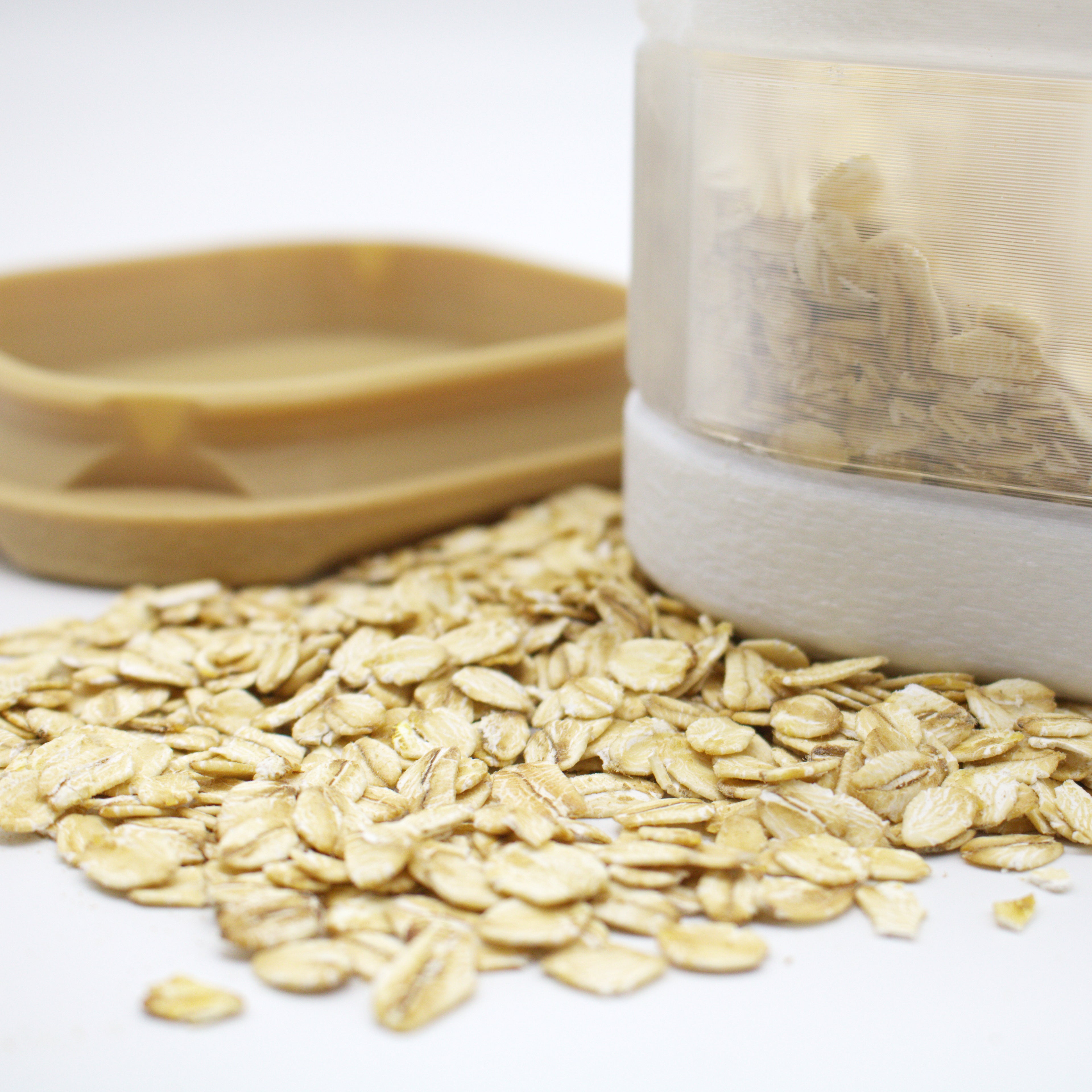 Dry Food Container (x2 500ml Set)
